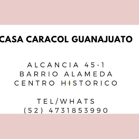 Casa Caracol Guanajuato Aparthotel Luaran gambar